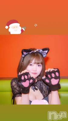ˤ㡼🐈‍⬛🎀