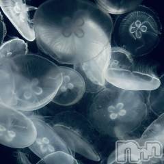 新潟デリヘルアンフィール-地元新潟の厳選された素人女性のみ-(アンフィール) 【新人】あん★美乳 (20)の12月1日写メブログ「次の出勤日のお知らせ🪼」