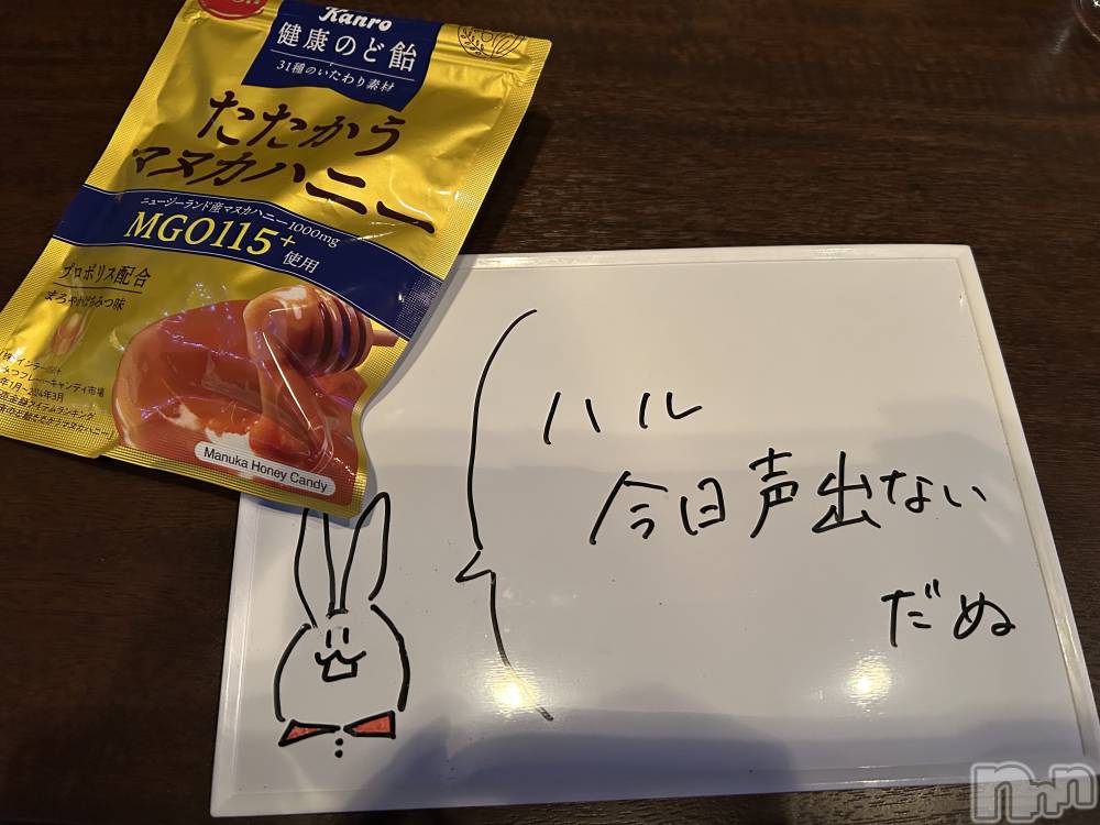 ʥå륺СSnack amie(ʥå ) ϥ1211̥֥֤ޥϥ̡