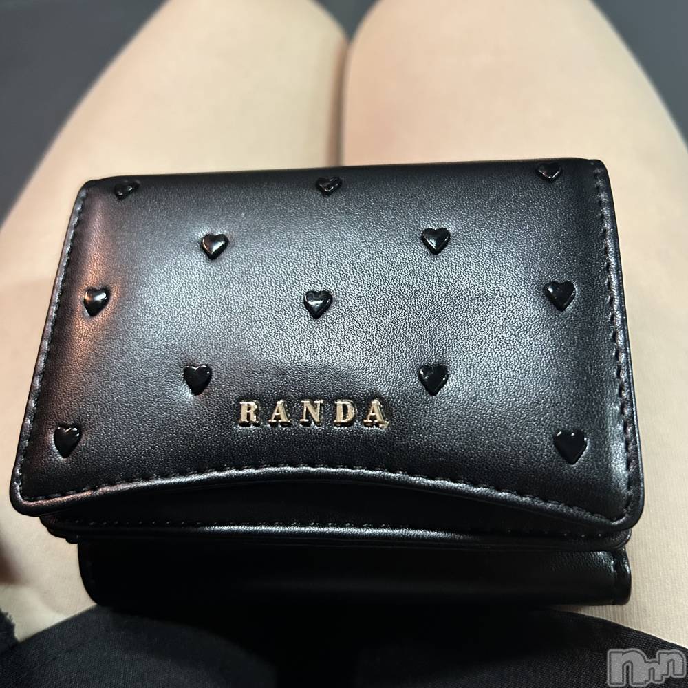 ʥå륺СSnack amie(ʥå ) ϥ112̥֥New wallet( `؎👛 c)ގ