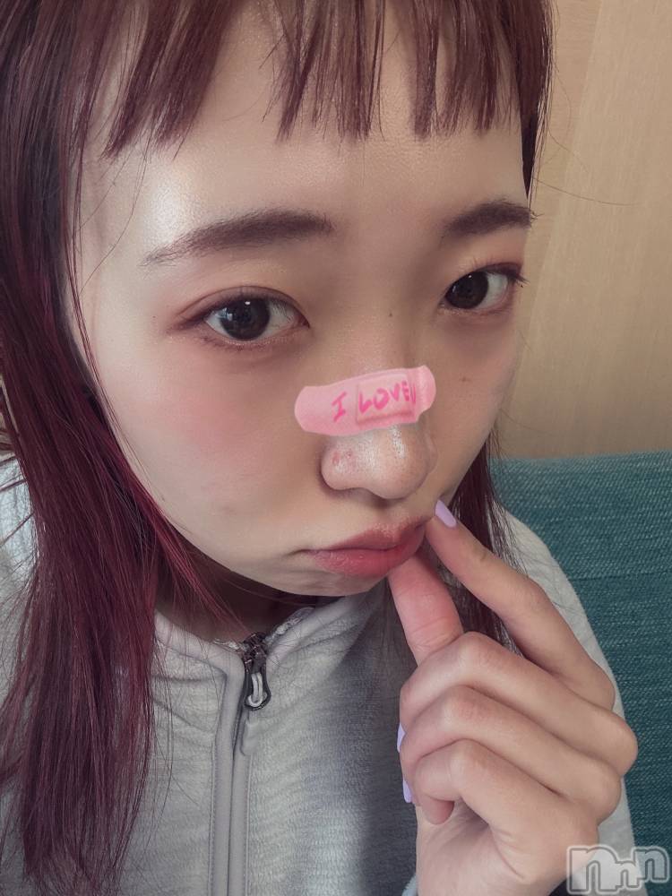 ʥå륺СSnack amie(ʥå ) ϥ313̥֥֥ɥûҤȸΤġ