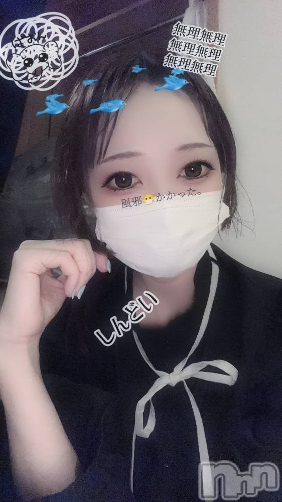 ʥå륺СSnack amie(ʥå ) ϥ95̥֥֥ǤޤäƤ