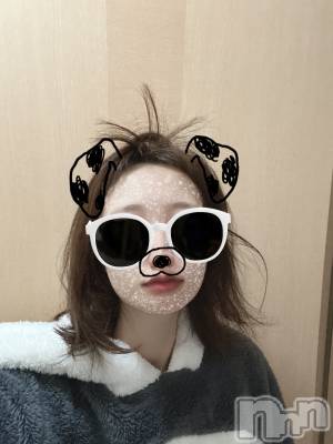ʥå륺СSnack amie(ʥå ) ϥ(26)115ֵ̥֥٤ߤ