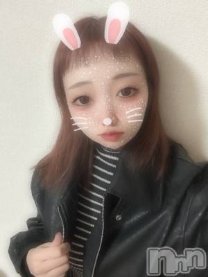 ʥå륺СSnack amie(ʥå ) ϥ(26)1226ֳ̥֥ץǤӤ塼