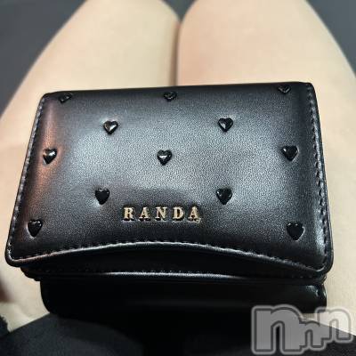 ʥå륺СSnack amie(ʥå ) ϥ(26)112̥֥New wallet( `؎👛 c)ގ