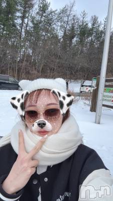ʥå륺СSnack amie(ʥå ) ϥ(26)29ֵ̥֥歡