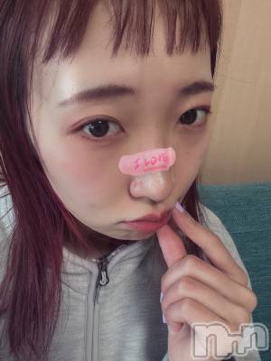 ʥå륺СSnack amie(ʥå ) ϥ(26)313̥֥֥ɥûҤȸΤġ