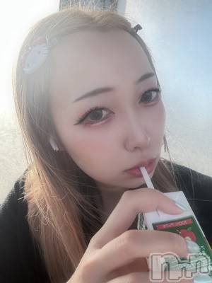 ʥå륺СSnack amie(ʥå ) ϥ(26)712̥֥🧃