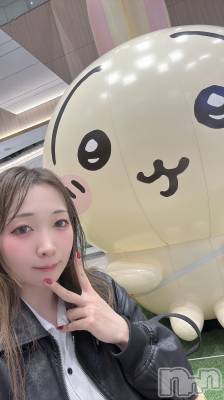 ʥå륺СSnack amie(ʥå ) ϥ(26)1018ְ̥֥ߤա