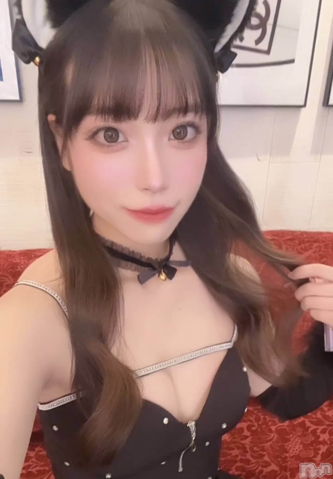 ƲХ顦ֲ֥ڲСݣȣΣ£ɡ(֥ϥʥ) 2024ǯ1011̥֥🐈‍⬛🎀⸝⸝꙳⋆