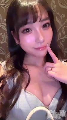 🐰⸝꙳