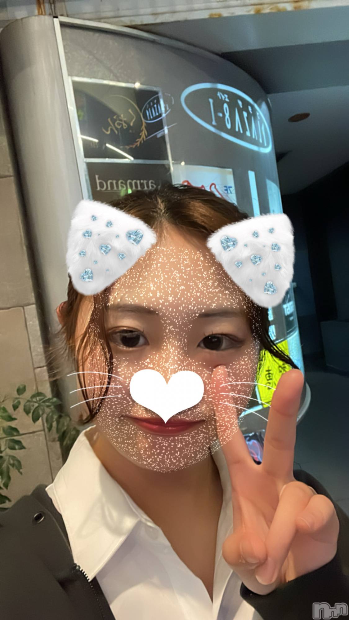 Įʥå륺СEGOIST() 2024ǯ1023̥֥day14