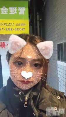 Įʥå륺СEGOIST() ʤʤ1126̥֥day19