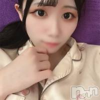 白咲きあら