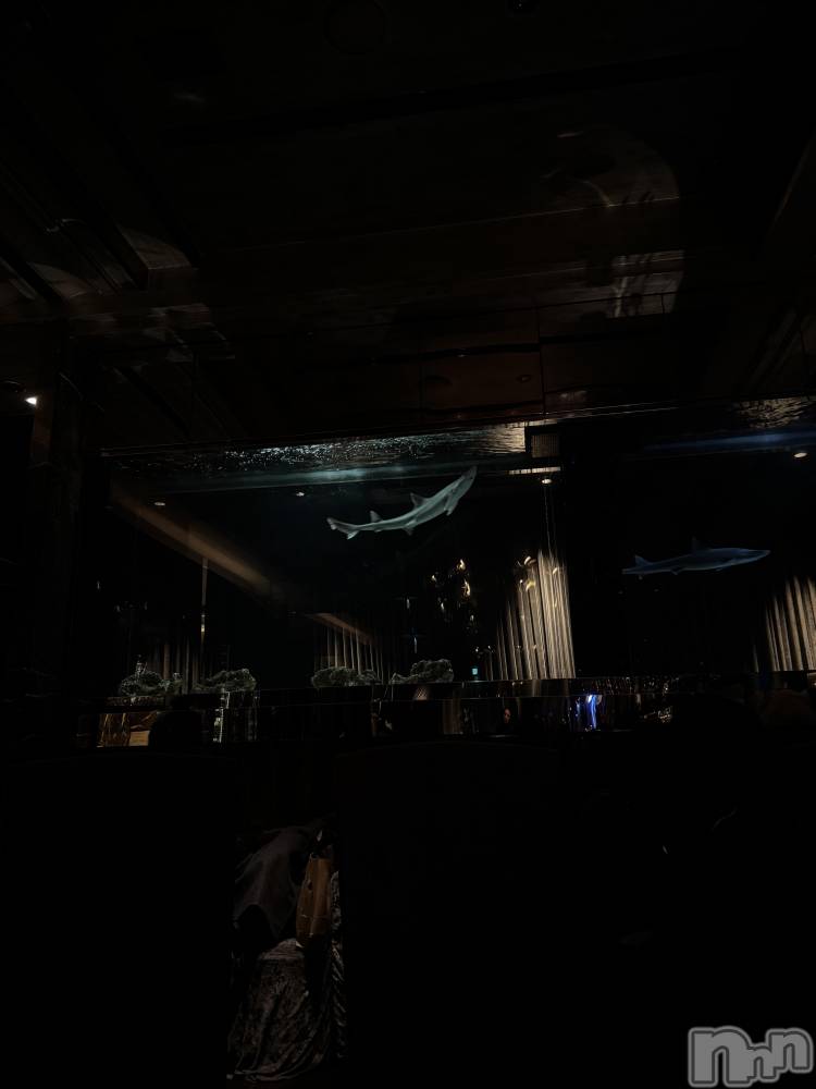 �����������Х��顦�����GRAND ROUGE(�����롼����) �줤�ʤ�1��12���̥�֥�����🦈︎💕︎��