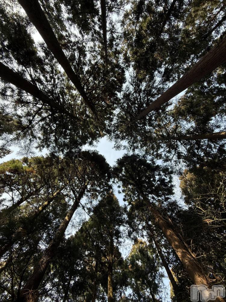 �����������Х��顦�����GRAND ROUGE(�����롼����) �줤�ʤ�2��18���̥�֥����ֿ���🌳��