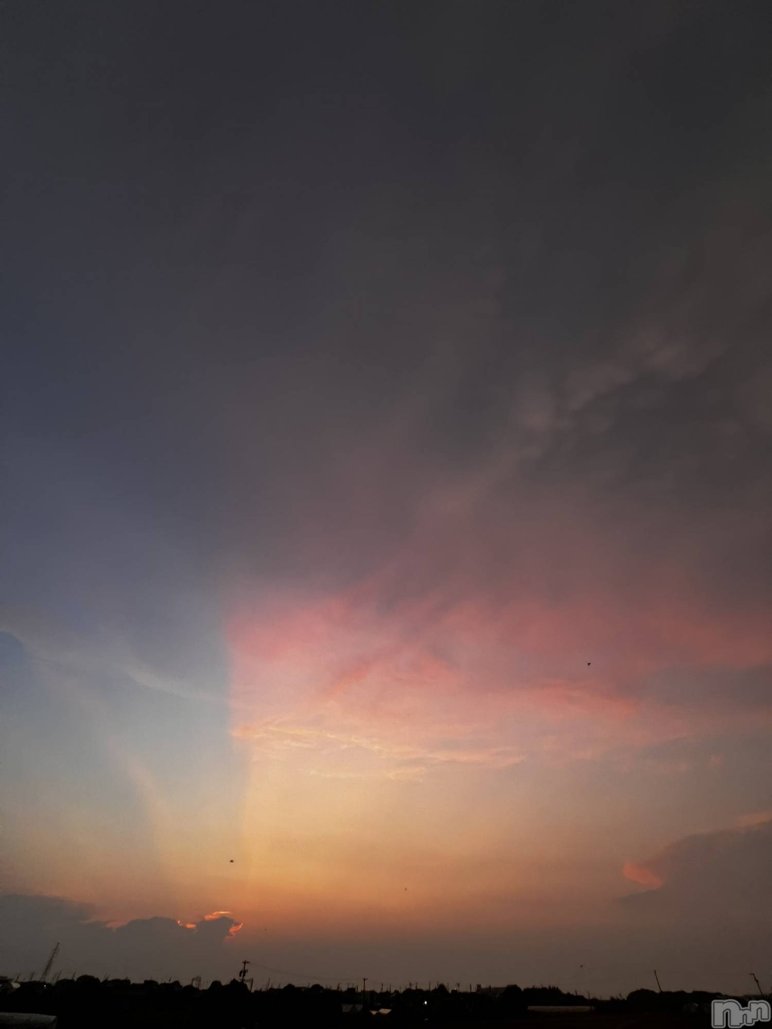 Х顦GRAND ROUGE(롼) 2025ǯ1118̥֥vvlog