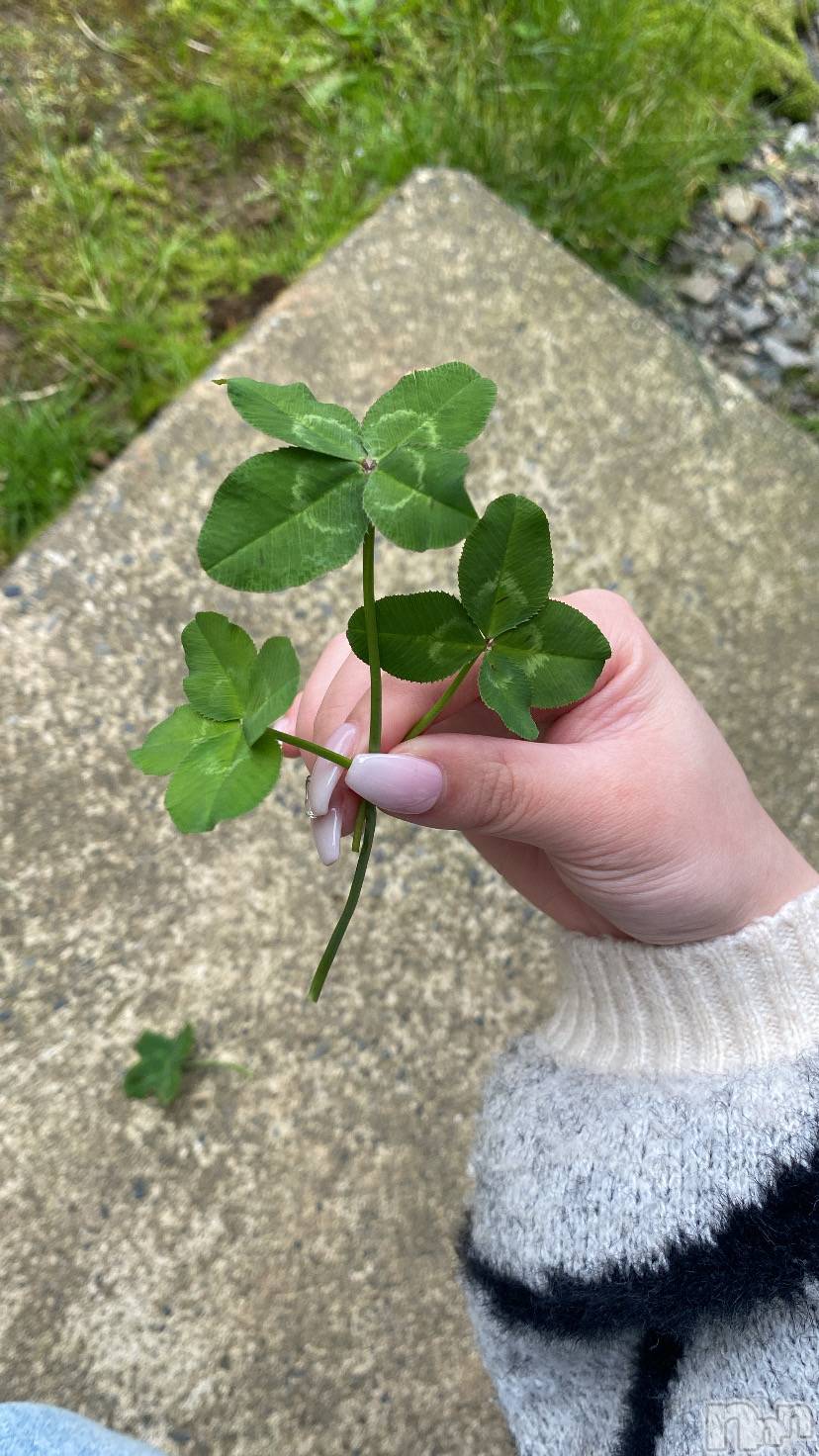 Х顦GRAND ROUGE(롼) 2025ǯ1121̥֥֤ʬ☘️