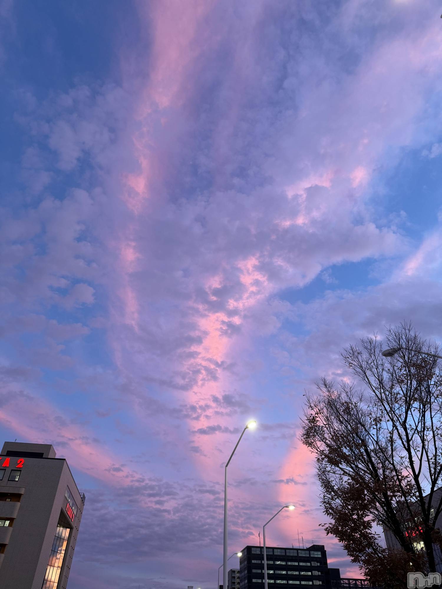 Х顦GRAND ROUGE(롼) 2025ǯ1123̥֥֤⡼‼️