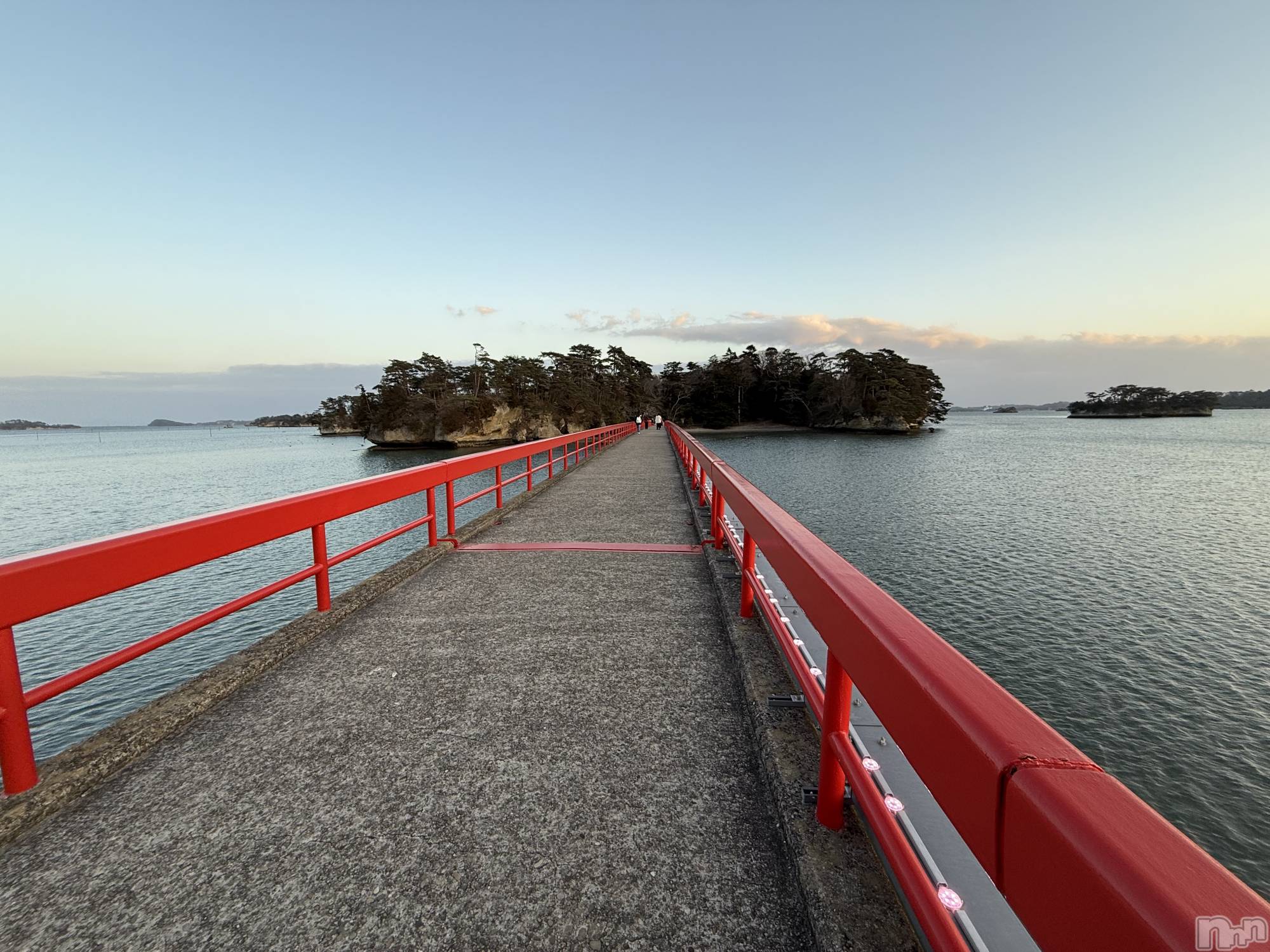 �����������Х��顦�����GRAND ROUGE(�����롼����) ��2026ǯ2��25���̥�֥����֤ۤܵӥȥ�🫶🏼��