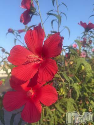 Х顦GRAND ROUGE(롼) 줤(24)915̥֥🌺🌺🌺