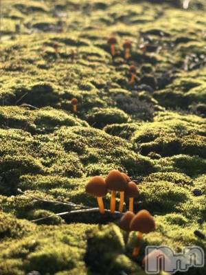 Х顦GRAND ROUGE(롼) 줤(24)115̥֥֤Τ