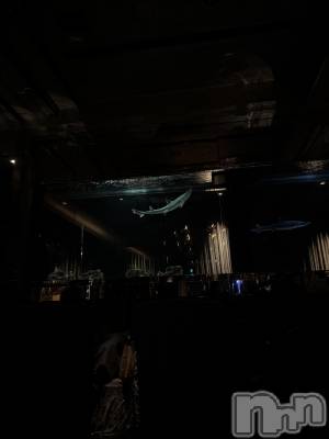 �����������Х��顦�����GRAND ROUGE(�����롼����) �줤��(24)��1��12���̥�֥�����🦈︎💕︎��