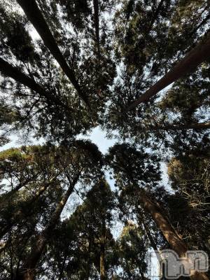 �����������Х��顦�����GRAND ROUGE(�����롼����) �줤�ʤ�2��18���̥�֥����ֿ���🌳��