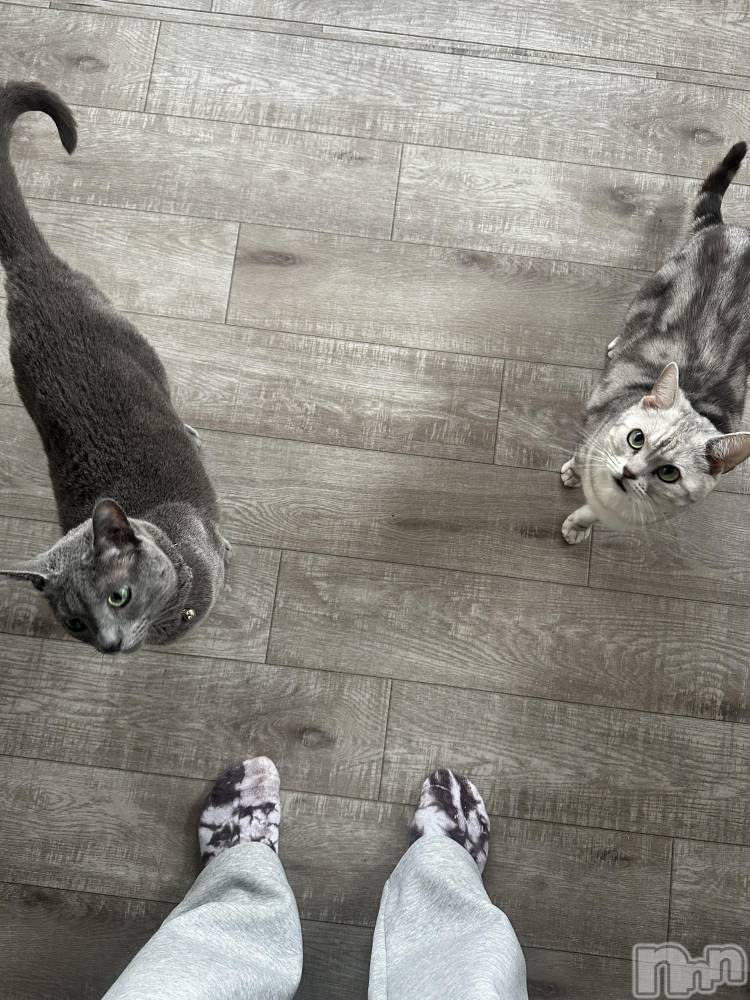 åȥСCafe&Bar Roots 롼(եɥС 롼) ˤ56̥֥֤ˤ🐈