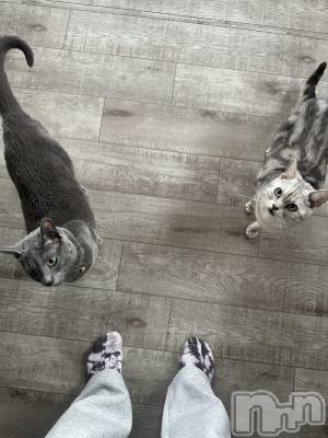 åȥСCafe&Bar Roots 롼(եɥС 롼) ˤ(22)56̥֥֤ˤ🐈