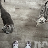 Cafe&Bar Roots �롼��