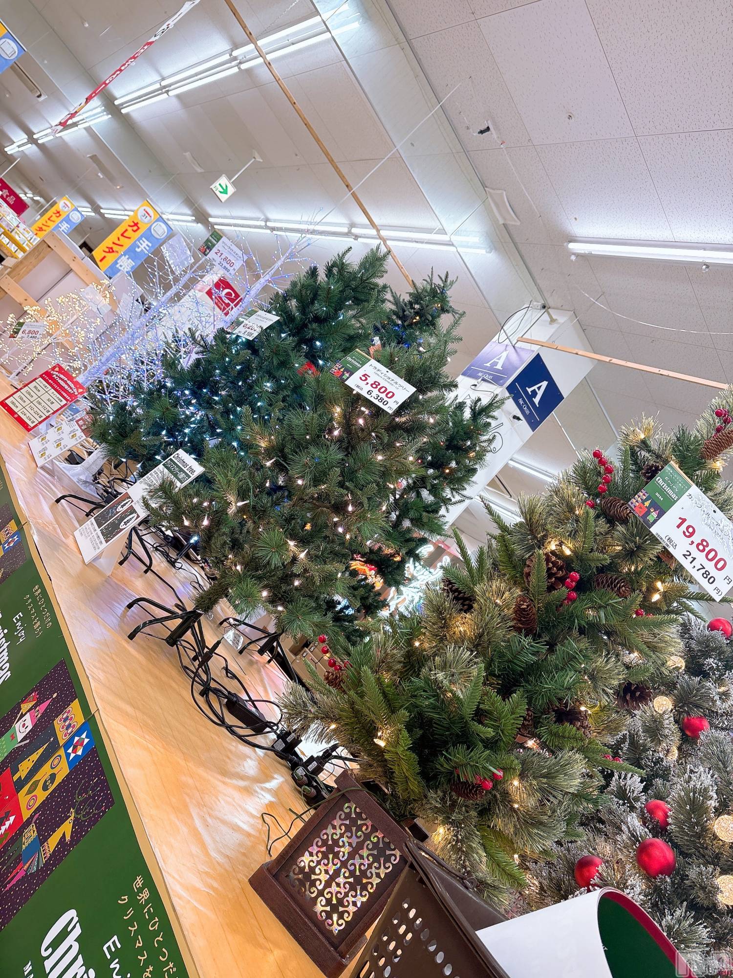 Įʥå륺Сlounge you(饦󥸥楦) 2024ǯ117̥֥Xmas⡼🎄.*