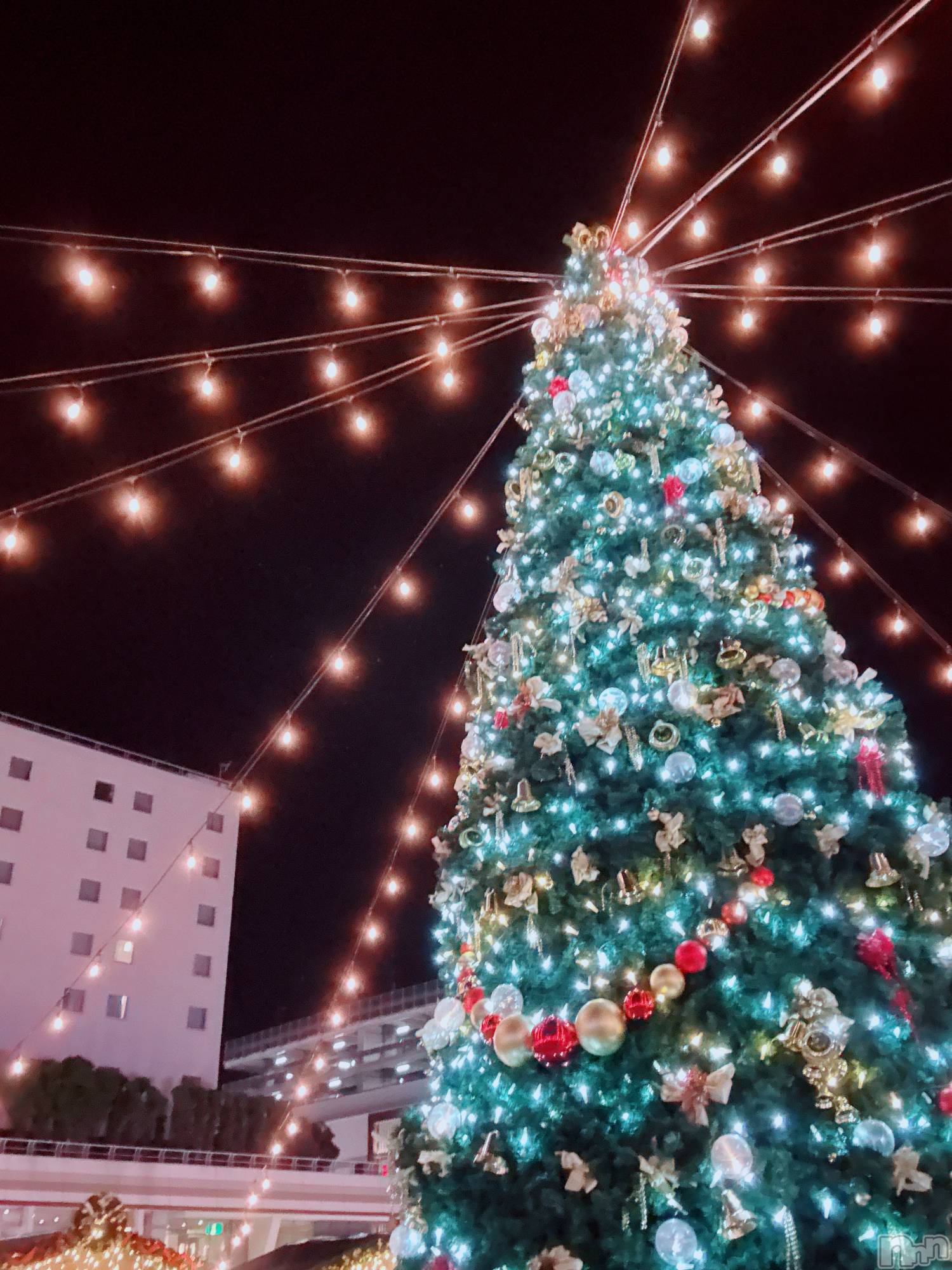 Įʥå륺Сlounge you(饦󥸥楦) 2024ǯ1226̥֥BIG 🎄