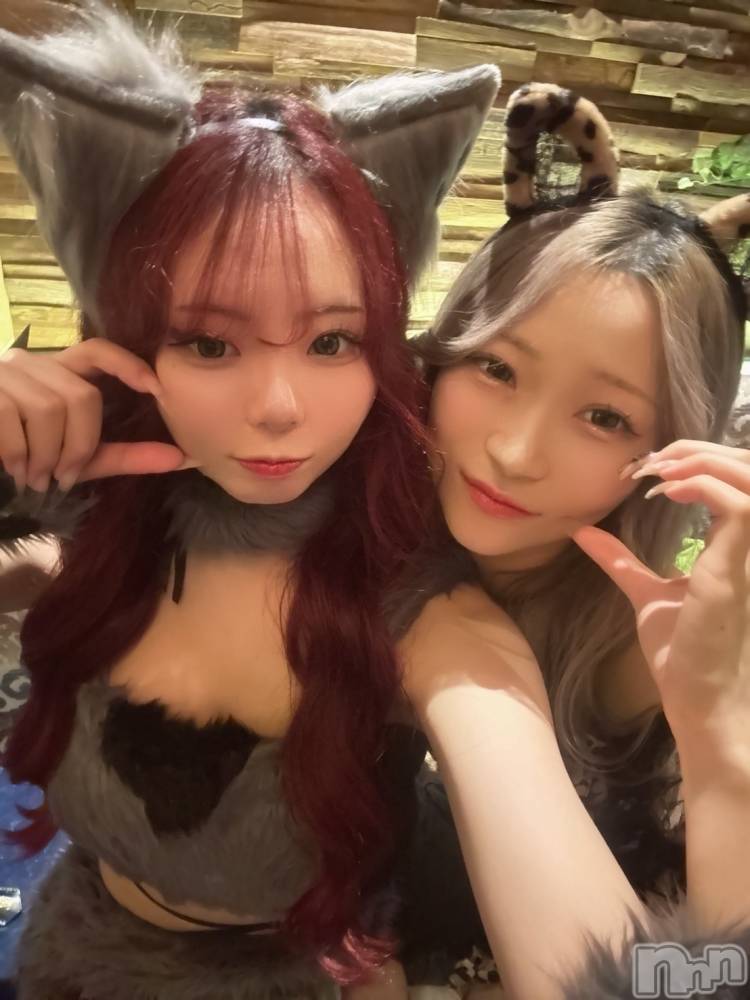 ܱХ顦() ʤ113̥֥֥ϥ🎃