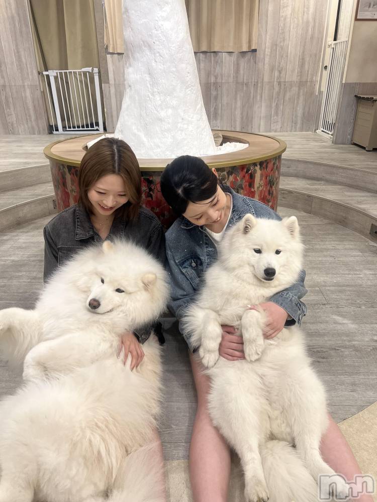 ���ܱ�������Х��顦���������(�����) ����ʤ�4��15���̥�֥����֥��⥨�ɥ��ե��ԤäƤ���!��