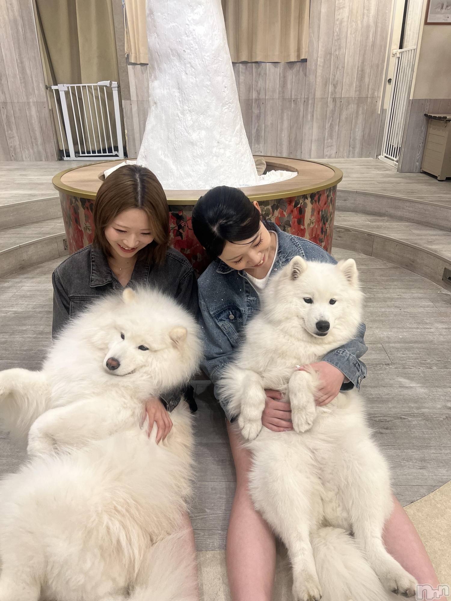 ���ܱ�������Х��顦���������(�����) ��2026ǯ4��15���̥�֥����֥��⥨�ɥ��ե��ԤäƤ���!��