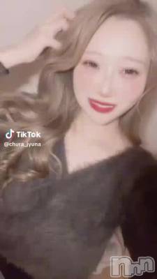 1231 1617ʬư