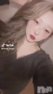 1231 1617ʬư
