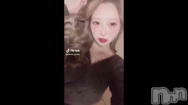 1231 1617ʬư