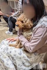 上越デリヘルRICHARD（リシャール）(リシャール) 月夜美めあ(21)の5月15日写メブログ「2ヶ月ぶり」