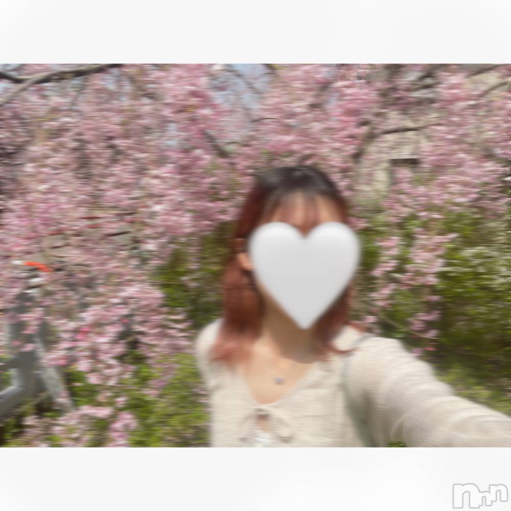 ʥå륺С饪աɥС Mimi(饪աɥС ߥ) 421ָ̥֥֤2ơ