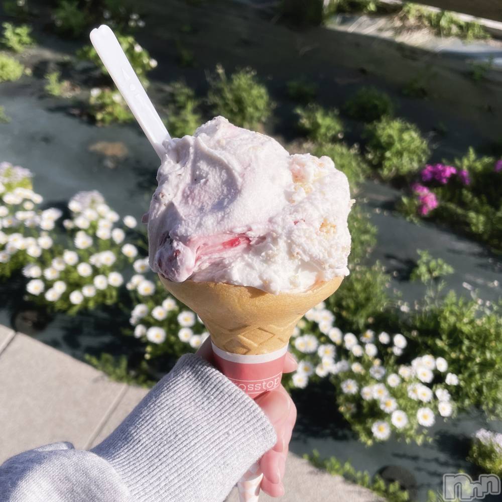 ʥå륺С饪աɥС Mimi(饪աɥС ߥ) 57̥֥🍨