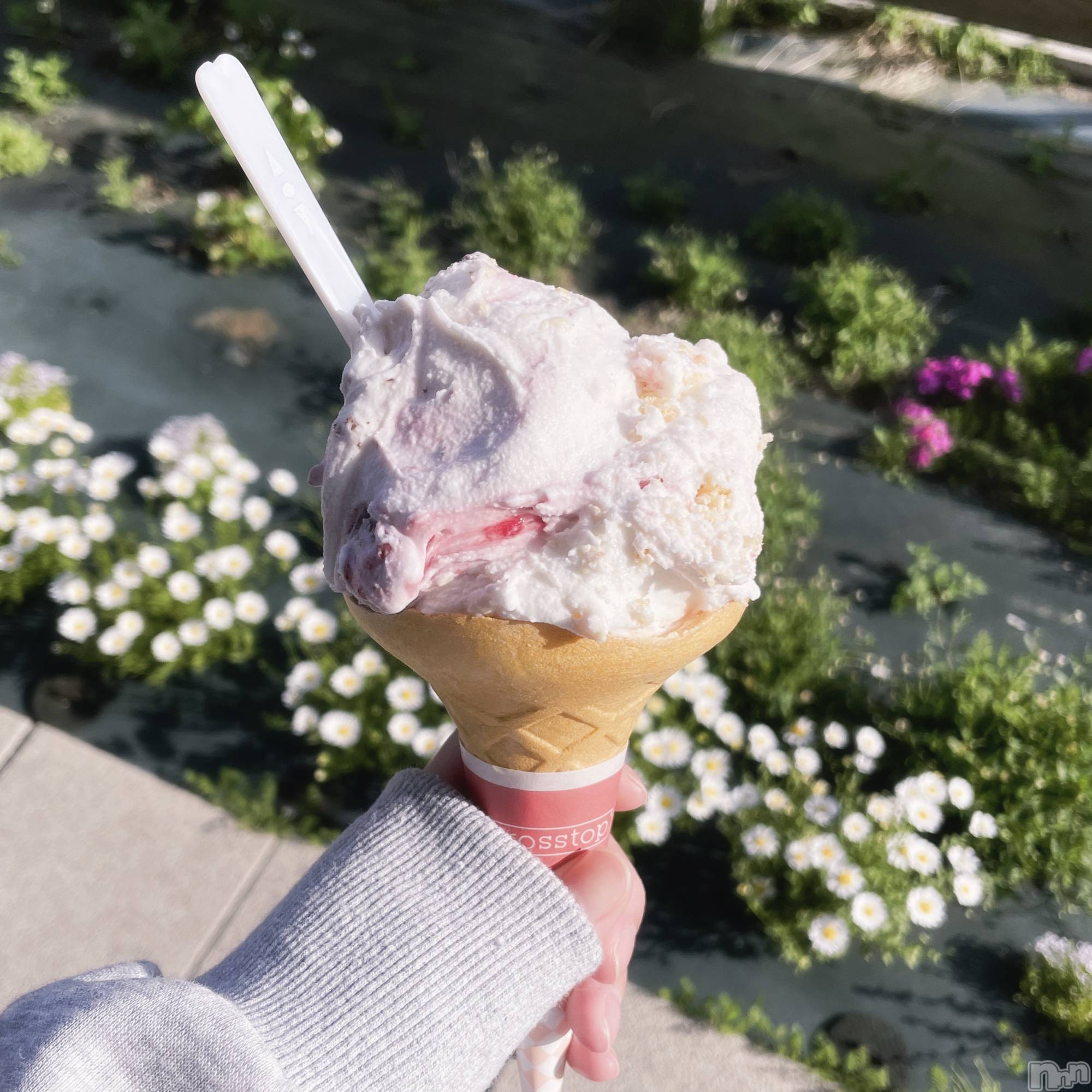 ʥå륺С饪աɥС Mimi(饪աɥС ߥ) 2025ǯ57̥֥🍨