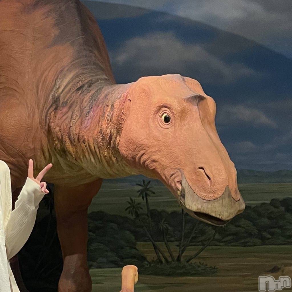 ʥå륺С饪աɥС Mimi(饪աɥС ߥ) 2025ǯ529ֹ̥֥ؽ