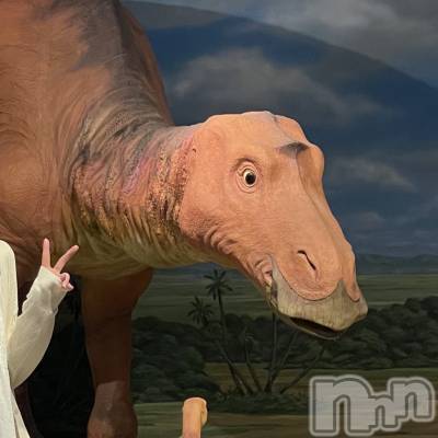 ʥå륺С饪աɥС Mimi(饪աɥС ߥ) 529ֹ̥֥ؽ