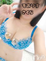 新潟デリヘルSOARIS-ソアリス-(ソアリス) さくら(29)の6月23日写メブログ「おっぱいにコアラ飼ってます」