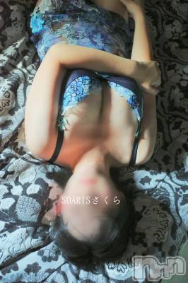 新潟風俗エステ SOARIS-ソアリス-(ソアリス) さくら(29)の8月14日写メブログ「存在感薄い女です」