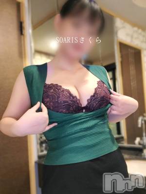 新潟風俗エステ SOARIS-ソアリス-(ソアリス) さくら(29)の9月11日写メブログ「他人のブログパクってる女」