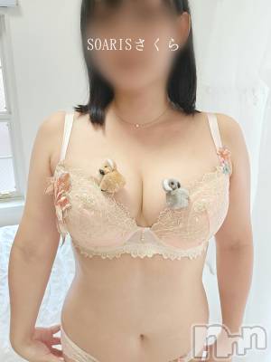 新潟風俗エステ SOARIS-ソアリス-(ソアリス) さくら(29)の6月26日写メブログ「ヤってる女です」