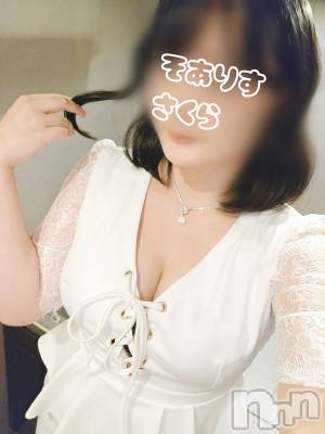 新潟デリヘル SOARIS-ソアリス-(ソアリス) さくら(29)の11月6日写メブログ「ソアリスの人気者」